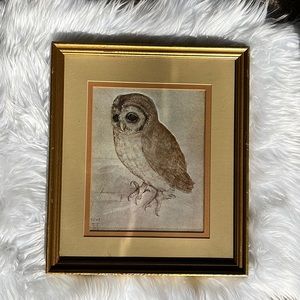 The Little Owl Painting